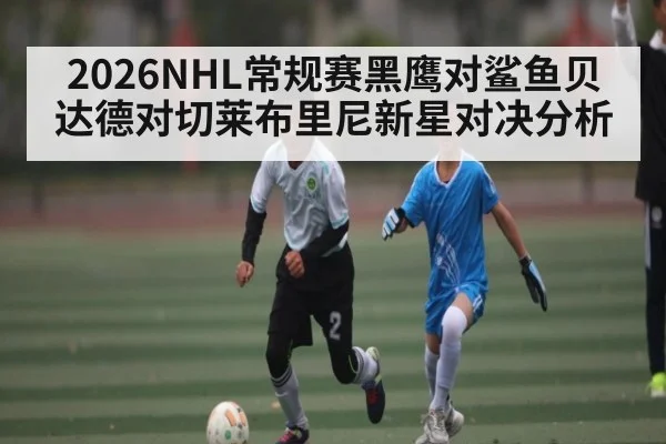 2026NHL常规赛黑鹰对鲨鱼贝达德对切莱布里尼新星对决分析