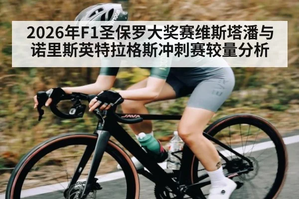 2026年F1圣保罗大奖赛维斯塔潘与诺里斯英特拉格斯冲刺赛较量分析
